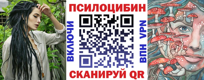 Псилоцибиновые грибы Psilocybe  Балей 